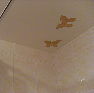 Укладка плитки, замена сантехники